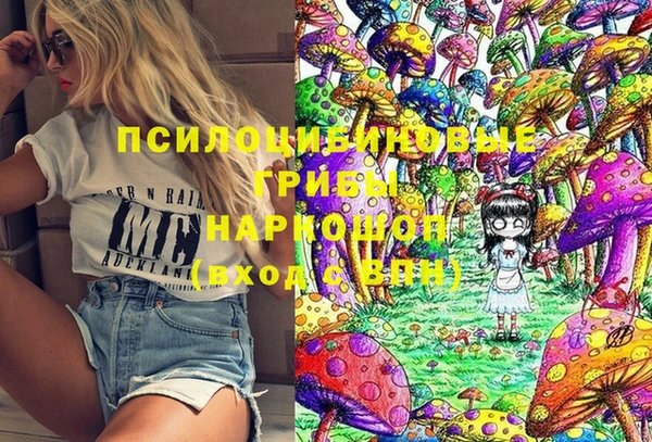 стафф Богородицк