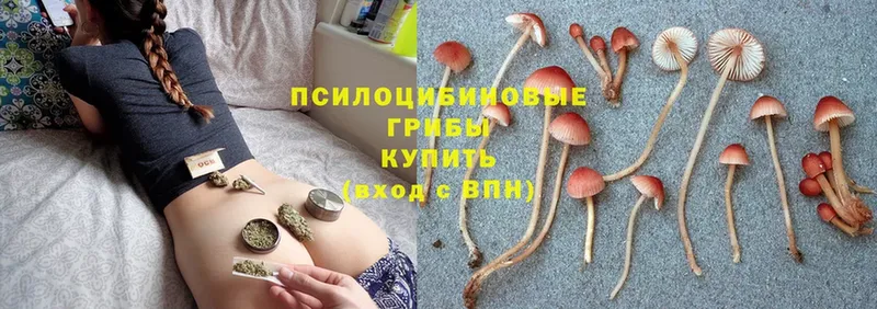 Галлюциногенные грибы MAGIC MUSHROOMS Усмань